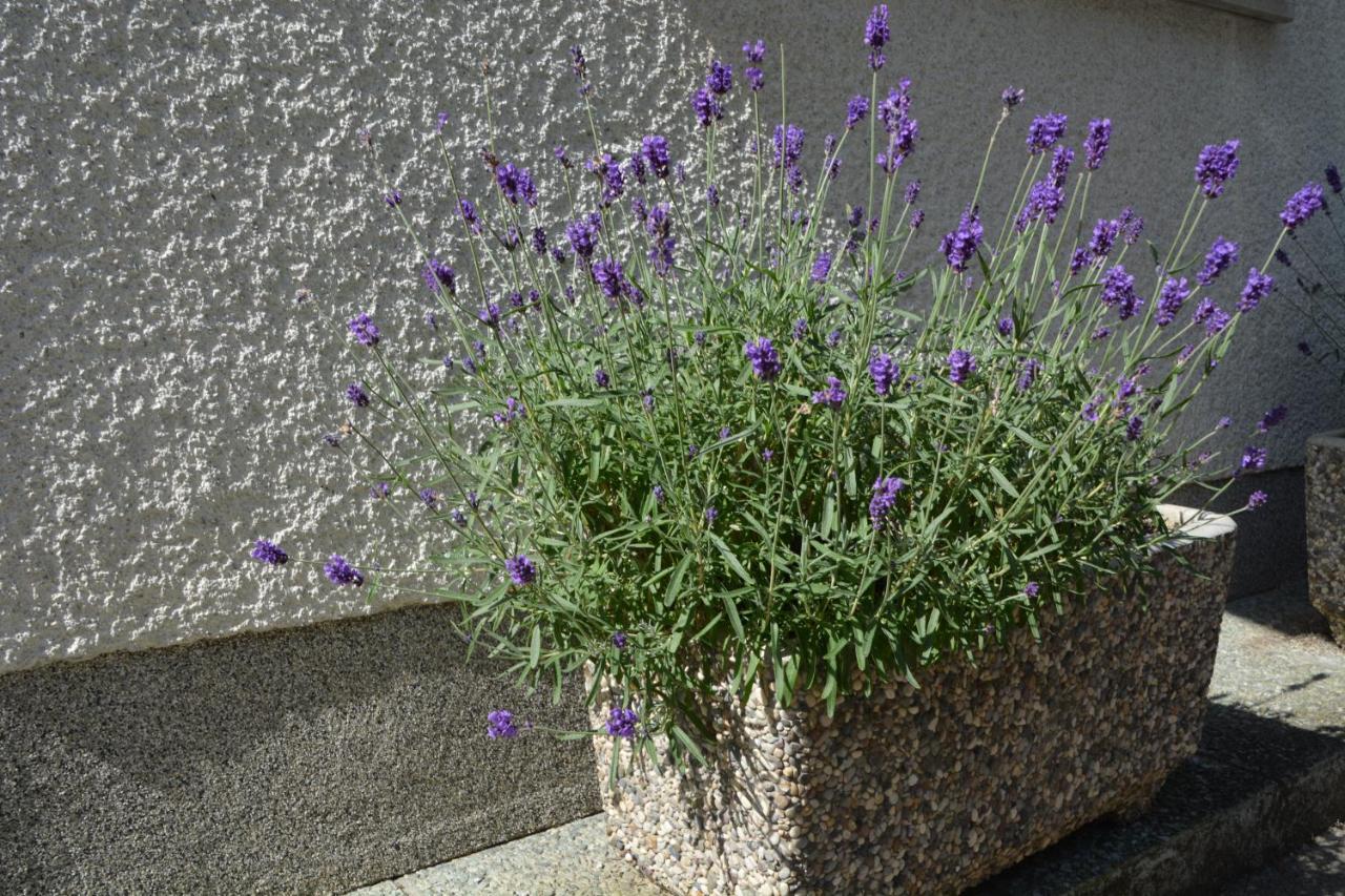 Apartma Zala Most Na Soci Exterior photo